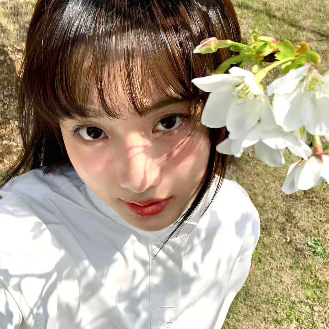 双面拉菲尔